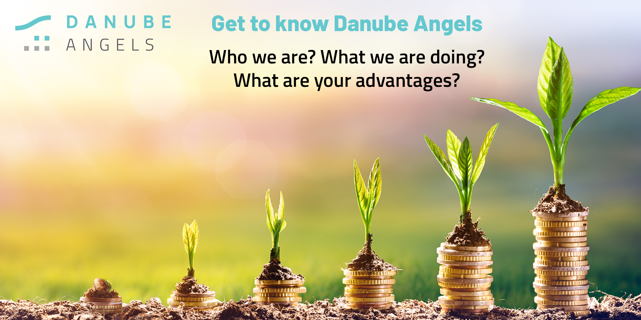 Online-Event 14.12.2022: Get to know Danube Angels